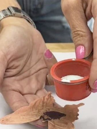 Enamel Charm Workshop, February 19, 2026